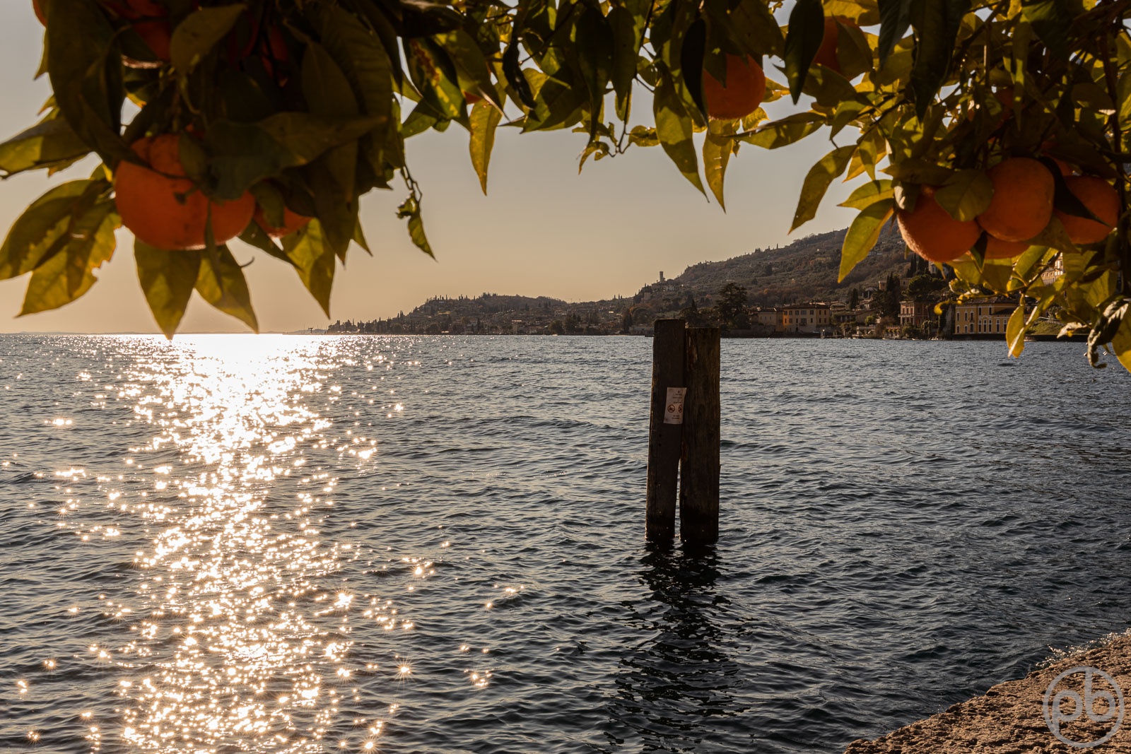 Fotokunst, Photo Art, Fine Art, Wandbilder, Wall Art, Mediterran, Gardasee, Orangen