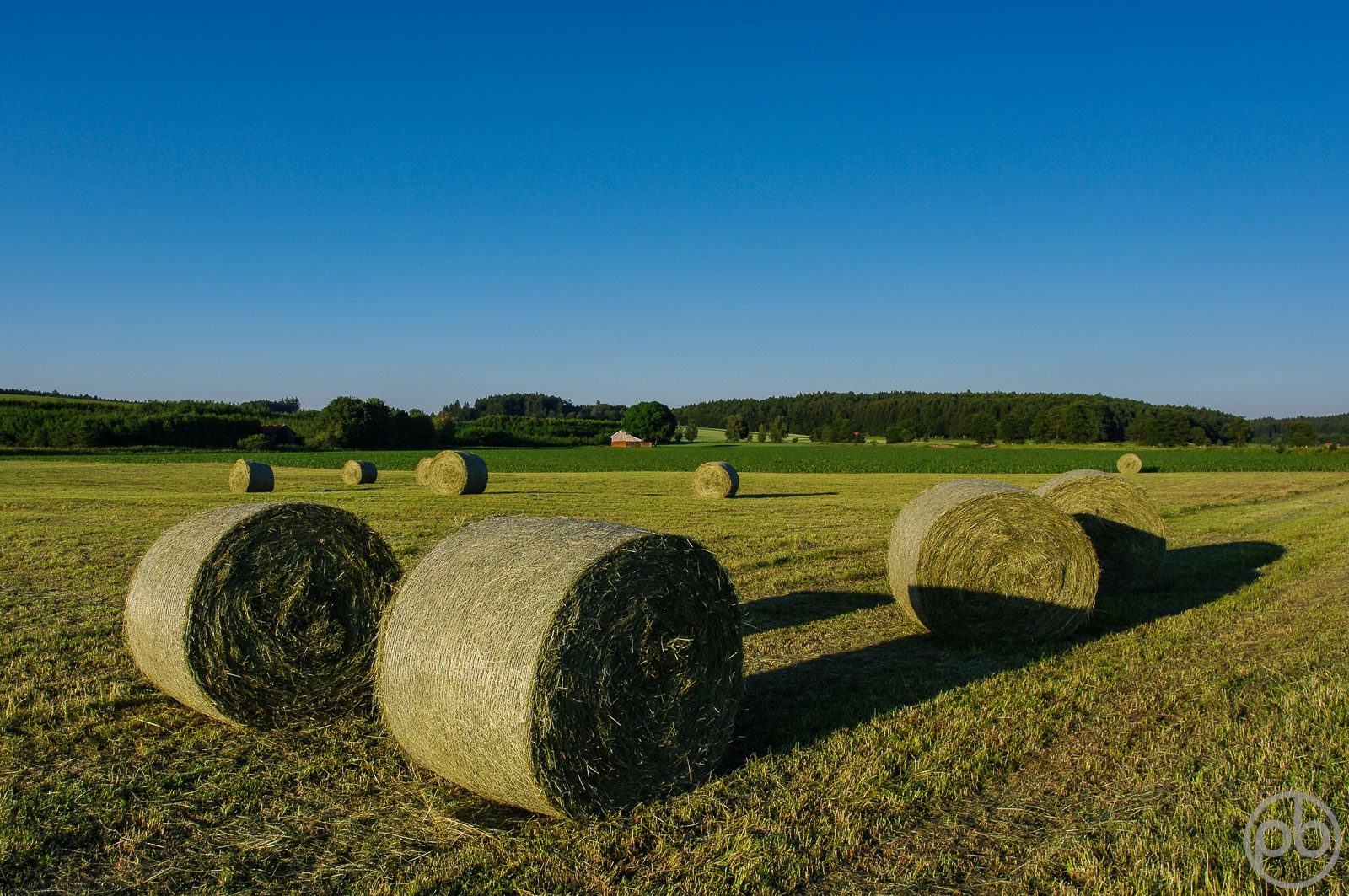 Fotokunst, Photo Art, Fine Art, Wandbilder, Wall Art, Heuballen, Unterallgäu, Allgäu, Landwirtschaft