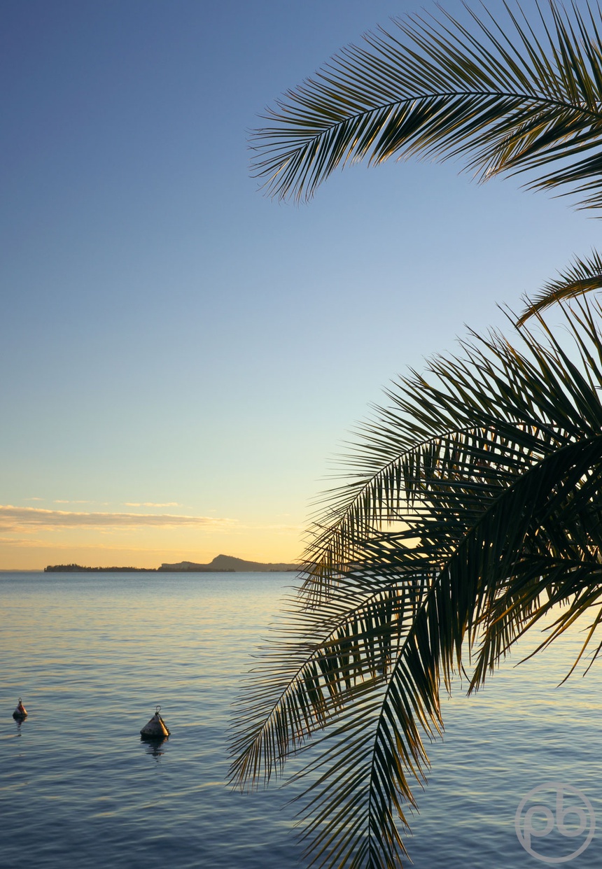 Fotokunst, Photo Art, Fine Art, Wandbilder, Wall Art, Mediterran, Palme, Sonnenuntergang, Gardasee, Toscolano