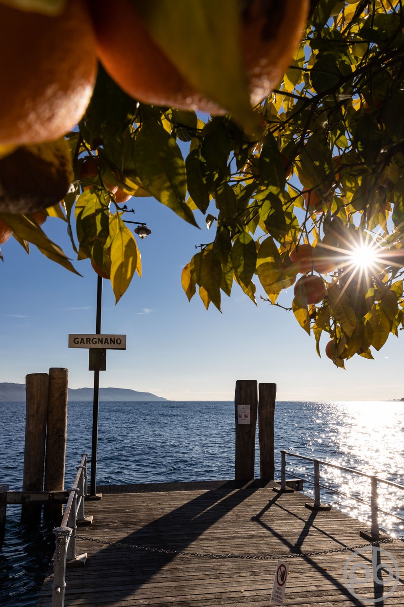 Fotokunst, Photo Art, Fine Art, Wandbilder, Wall Art, Gardasee, Gargnano, Orangen, Steg, See