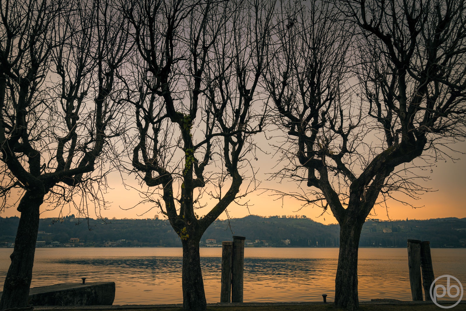 Fotokunst, Photo Art, Fine Art, Wandbilder, Wall Art, Gardasee, Saló, Bäume vor See, Abendstimmung