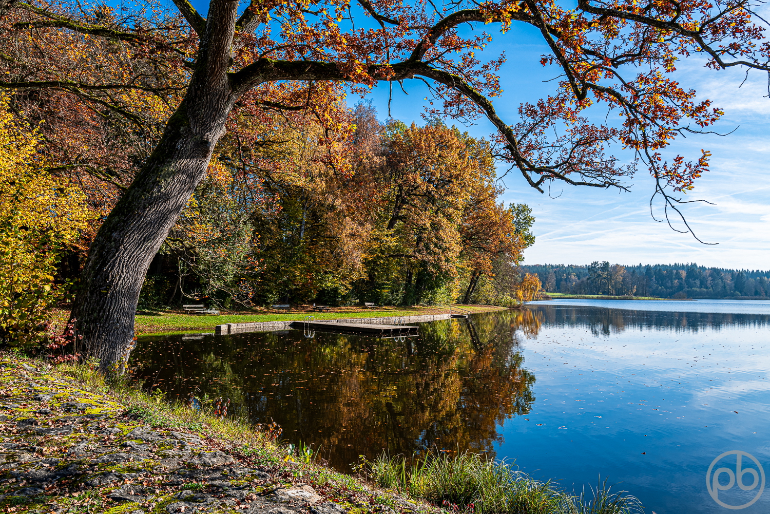 Fotokunst, Photo Art, Fine Art, Wandbilder, Wall Art, Unterallgäu, Schnerzhofer Weiher, Herbst, Idylle, Wasser, Indian Summer