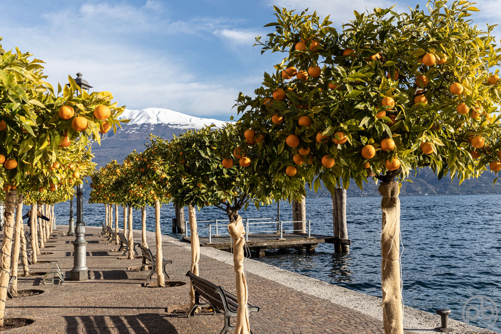 Fotokunst, Photo Art, Fine Art, Wandbilder, Wall Art, Mediterran, Gardasee, Gargnano, Winter, Orangenbäume