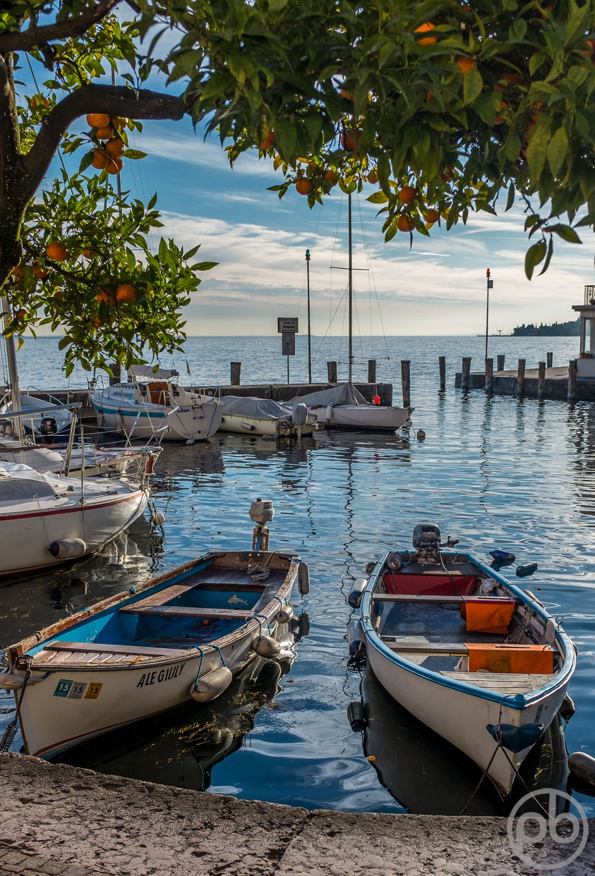 Fotokunst, Photo Art, Fine Art, Wandbilder, Wall Art, Mediterran, Gardasee, Gargnano, Hafen, Orangen