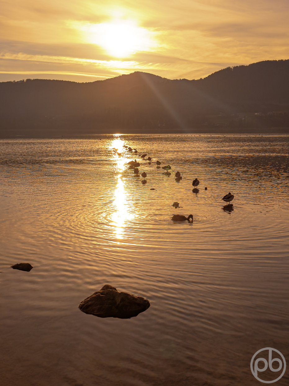 Gewässer, Himmel, Natur, Sand, See, Sonnenuntergang, Sonstiges, Stil, Strand, Fotokunst, Photo Art, Fine Art, Wandbilder, Wall Art, Tegernsee, Gmund