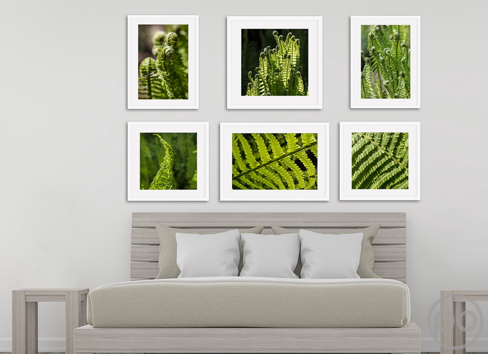 Fotokunst, Photo Art, Fine Art, Wandbilder, Wall Art, Bilder an der Wand, Bildbeispiel