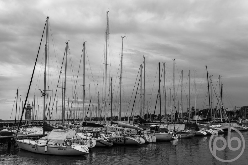 _DSC0270.jpg