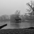 Nebel am Schnerzhofer Weiher